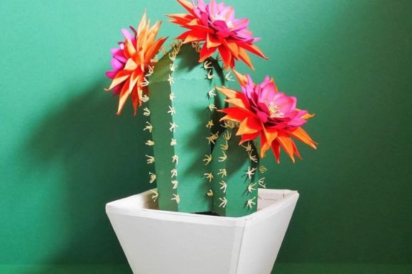 Integrating the Echinopsis Cactus into Your Creative Workflow